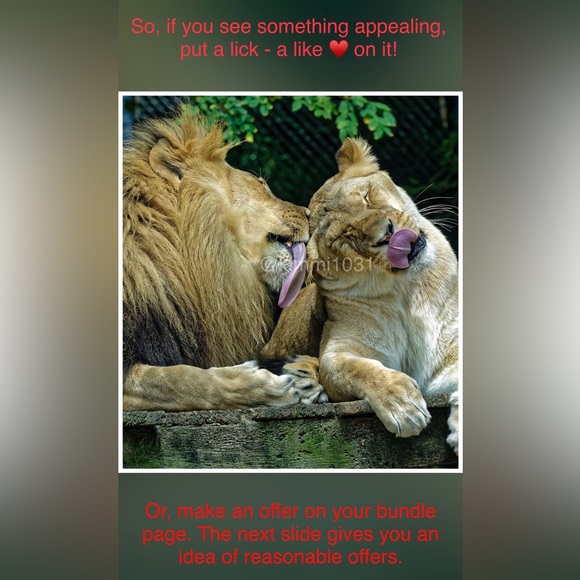 Shopping? Read here first! DO NOT BUY THIS LISTING! - Picture 13 of 16